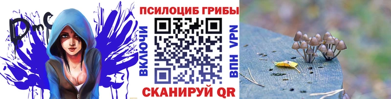 Галлюциногенные грибы Psilocybe  Порхов 